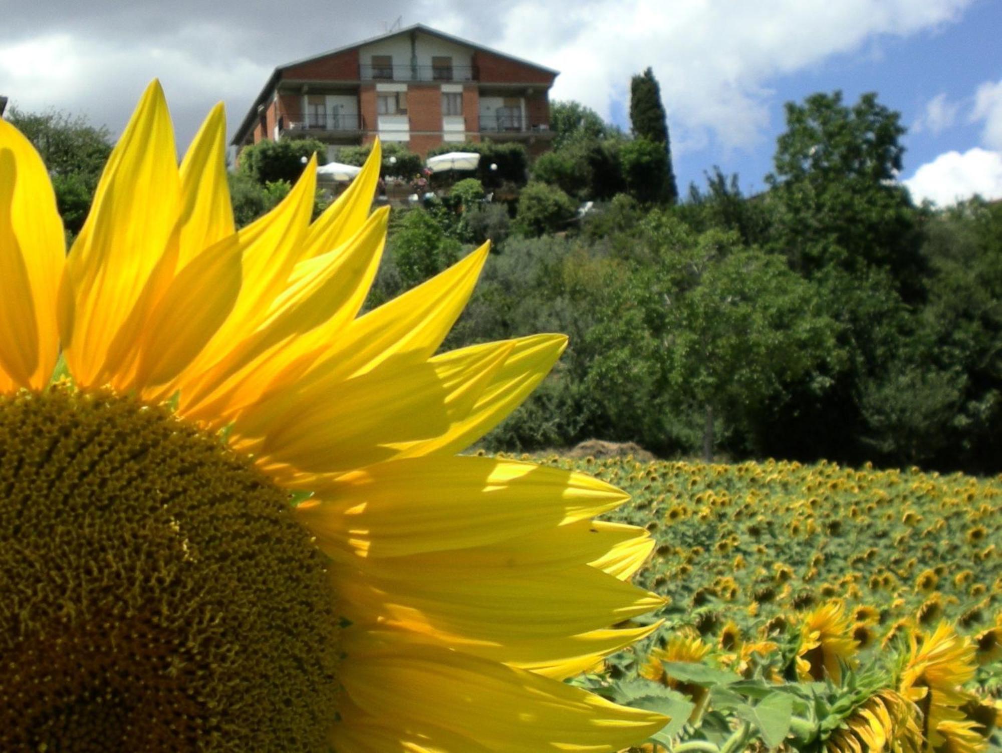Montepulciano Stazione Hotel Sangallo B&B מראה חיצוני תמונה